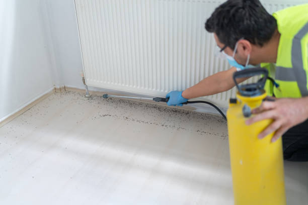 Best Commercial Pest Control Services  in Ennis, TX