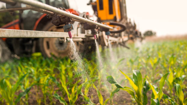 Best Mosquito Control Services  in Ennis, TX
